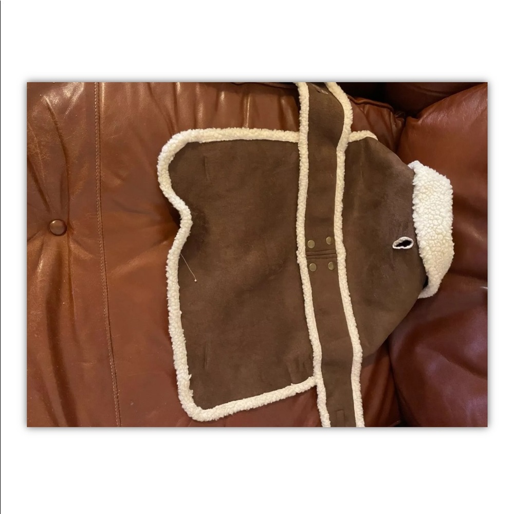 Dog Coat